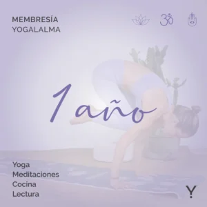 Membresia 1 año